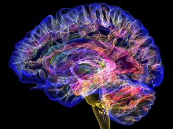 操逼性视频大脑植入物有助于严重头部损伤恢复